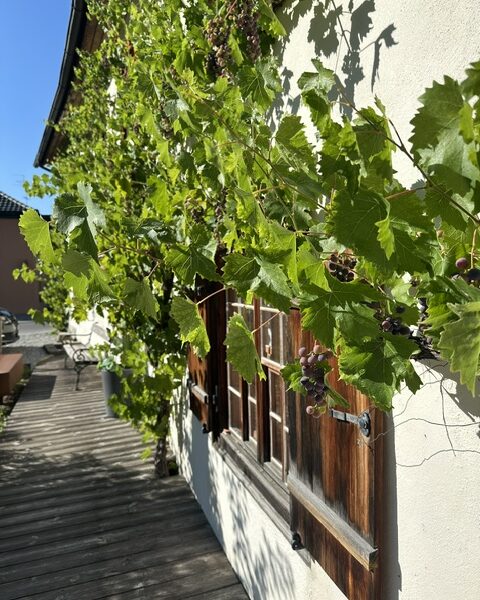 Terrasse vor dem Friseursalon Haardesign Pecoraro in Bürs